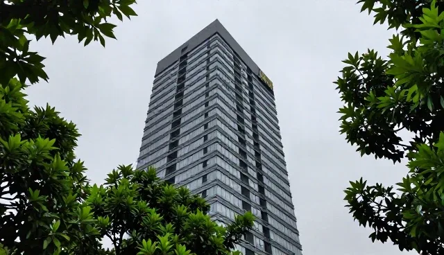 本地网站建设项目的适用条件与选择依据